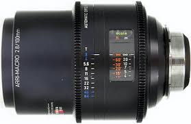 Attēlu rezultāti vaicājumam “Licea minima macro”