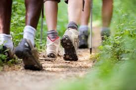 Image result for Bracknell Forest Runners