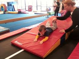 Image result for Acrobrats