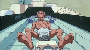 Image result for roujin z