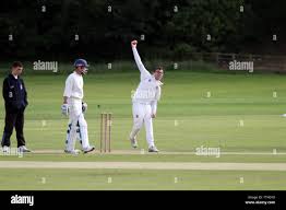 Image result for Carmarthen Wanderers Cricket Club