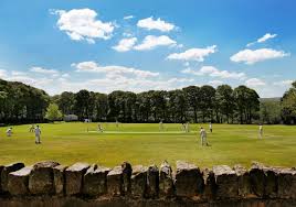 Image result for Loose Cricket Club