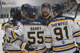 Image result for Romford Raiders