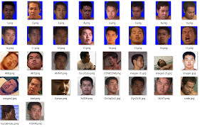 「野獣先輩」の画像検索結果