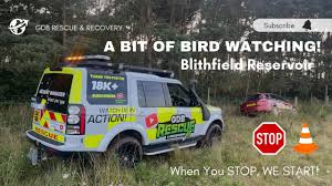 Image result for England Staffordshire Birding Club