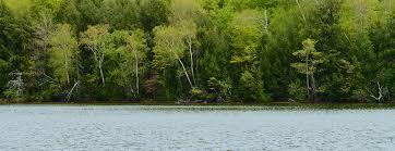 Image result for Wey Valley Disabled Angling Association