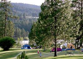 Image result for Forest (Sale) Badminton Club