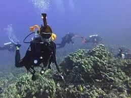 Image result for DeeperBlue.net Tribe (South London)