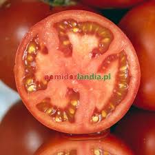 Afbeeldingsresultaat voor crnkovic yugoslavian tomato