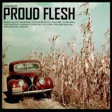 Image result for "proud flesh"