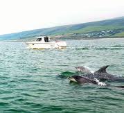 Image result for Merioneth Yacht Club Ltd