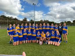 Image result for Wolfe Tones Gaelic Athletic Club