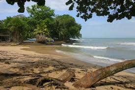 Image result for cahuita costa rica