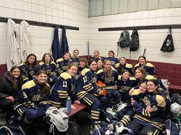 Image result for Shrewsbury Hockey Club