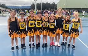 Image result for Fife Phantoms Netball Club