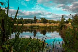 Image result for Vale Royal Abbey Golf Club