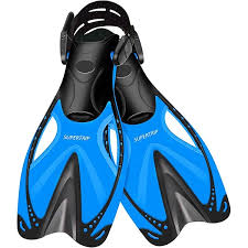 Image result for Simply Scuba