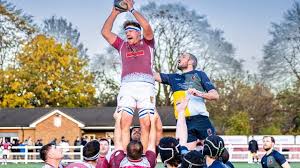 Image result for Chiswick Rugby Club