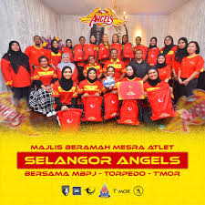 Image result for The Angels Netball Club