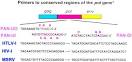ScienceDirect.com - Brain Research Reviews - Endogenous ...