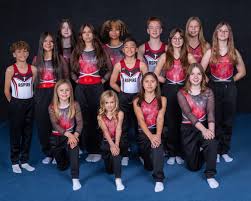 Image result for Team Lightning Trampoline Club
