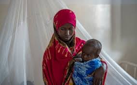 Attēlu rezultāti vaicājumam “Badhamia bethelii stalked”