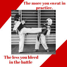 Image result for IXL Martial Arts