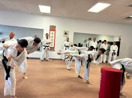 Image result for Su-Ha-Ri-Wado Karate School