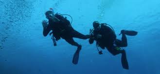 Image result for Barnsley BSAC Divers