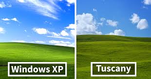 Image result for love windows xp wallpaper