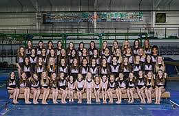 Image result for Elite Recreational Gymnastics Club