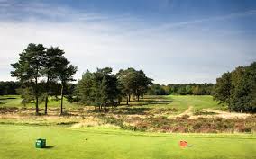 Image result for Walton Heath Golf Club