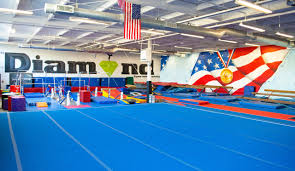 Image result for Blandford Forum Gymnastics & Kanga Club