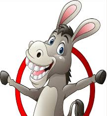 Image result for Darlington & District Indoor Bowls Club Ltd