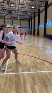 Image result for Skillcentre Badminton Club