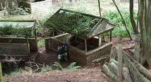 Image result for Hamburger Hill Paintball Games