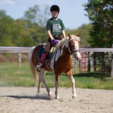 Image result for North Lammermuir Riding Club