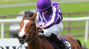 Image result for Epsom Oaks Netball Club