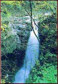 OIRAN淵에 대한 이미지 검색결과