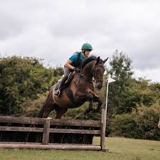 Image result for British Horse Society