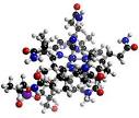 What Does Vitamin B12 Do For The Body? | The Vitamin Source
