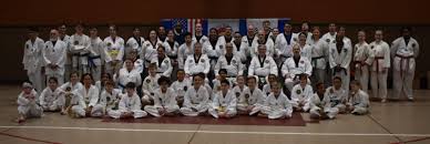 Image result for Parkgate Taekwondo Club