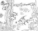 Fish coloring page