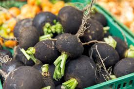 Image result for Rettich