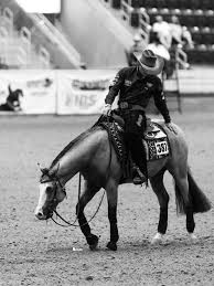 Image result for Palmers Riding Stables
