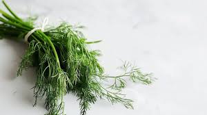 Image result for Dill