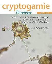 Attēlu rezultāti vaicājumam “Dicranella staphylina cells”