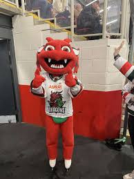 Image result for Sheffield Scimitars