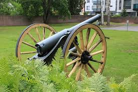 Image result for Fetcham Cannons