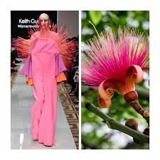 Attēlu rezultāti vaicājumam “Diderma globosum sessile”